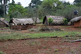 Actividades en Cabañas Ysyris